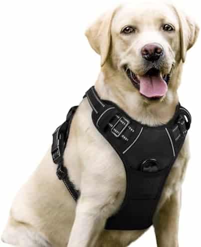 Rabbitgoo No-Pull Dog Harness Breathable Chest Harness for Dogs Puppy Harness Reflective Stripes Safe Guide Adjustable Soft Black L   Amazon.de: