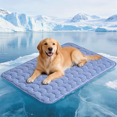 APPKER Cooling Mat Dogs, Double-Sided Cooling Mat for Pets, 100 x 70 cm, Arc-Chill Cooling Fibre & Q-MAX > 0.45, for Sofa and Car- L  Amazon.de: